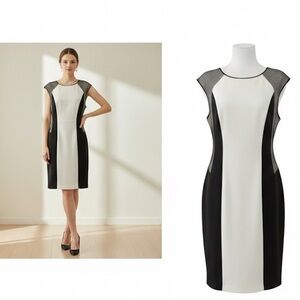 Calvin Klein Sleek Sophistication Colorblock Mesh Sheath Dress size 12 B&W